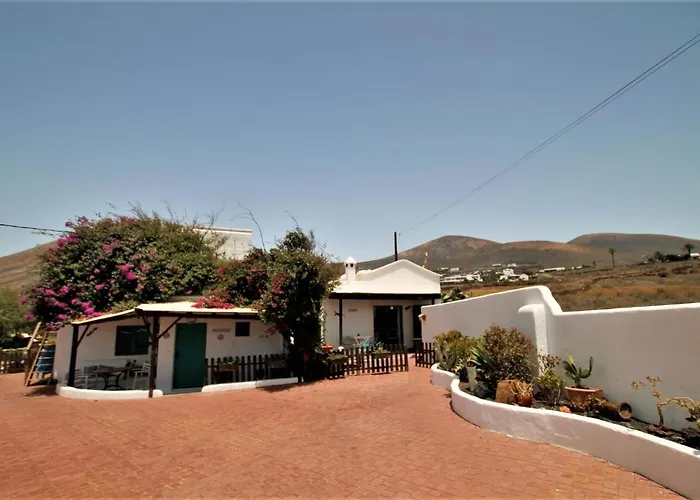 El Lagarto * Mácher